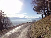 8. Januar 2011 - Blick hinunter ins Rheintal auf dem Weg zu Samuels Ginkgo